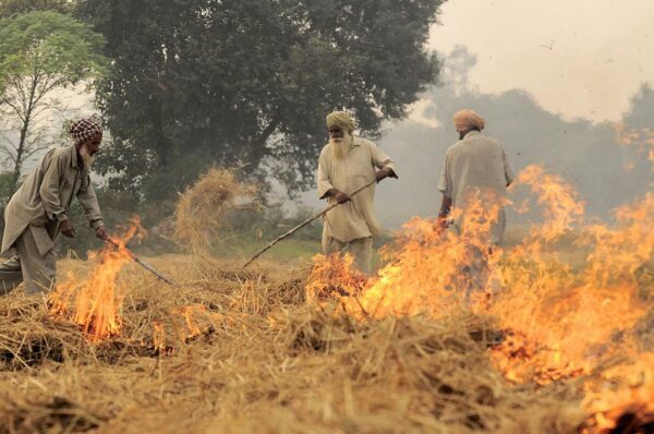 Grain Burning