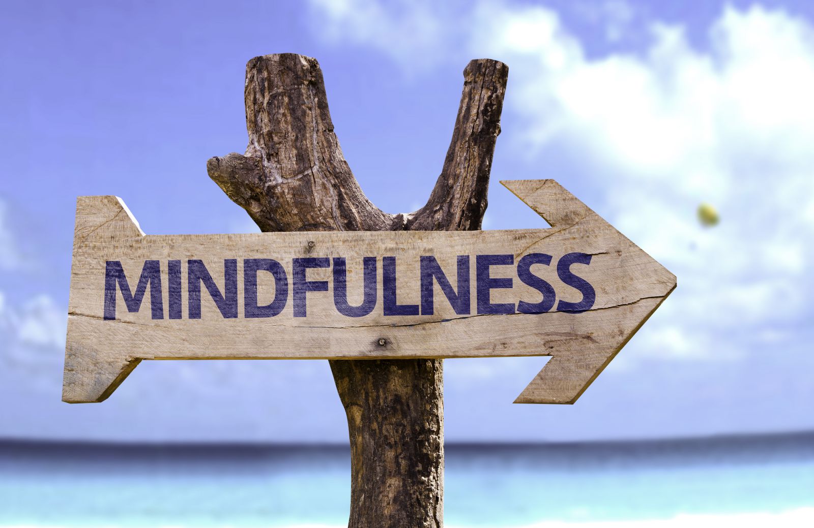 The Best Way to Make Mindful Decisions